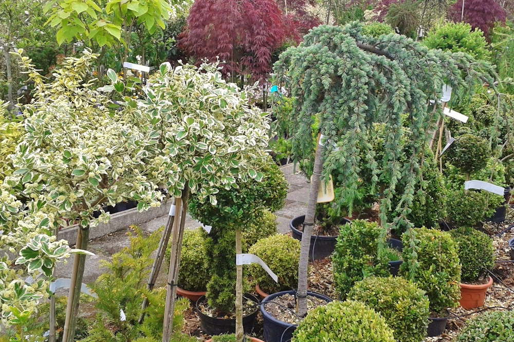 October in the Garden: Essential Tasks