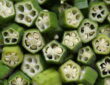 Okra: A Versatile Addition to Your Garden