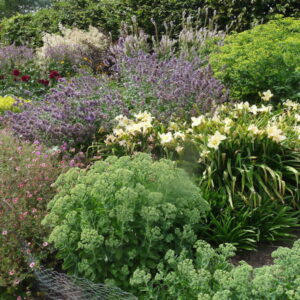 An Introduction to Permaculture for Home Gardeners