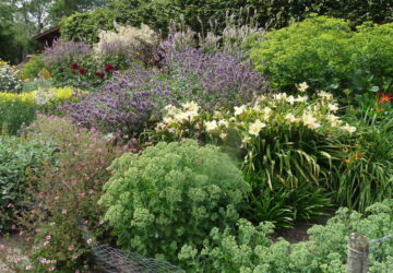 An Introduction to Permaculture for Home Gardeners