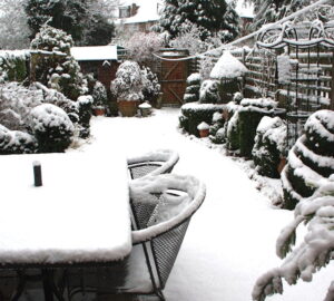Preventing Snow Damage in Your Garden