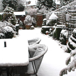 Preventing Snow Damage in Your Garden