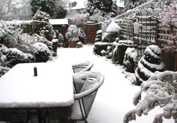 Preventing Snow Damage in Your Garden