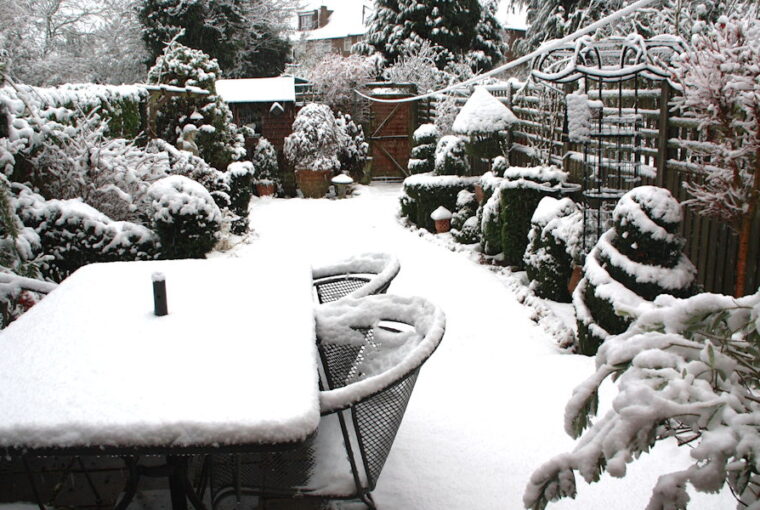 Preventing Snow Damage in Your Garden