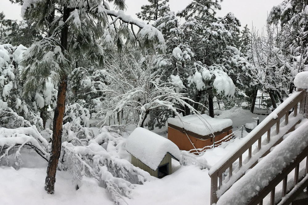 Understanding and Preventing Snow Damage