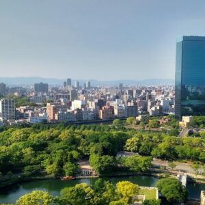 Rewilding Urban Spaces: The Miyawaki Forests