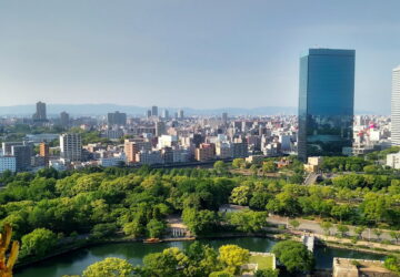 Rewilding Urban Spaces: The Miyawaki Forests