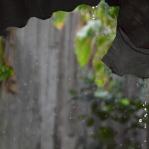 Exploring Rainwater Collection Solutions