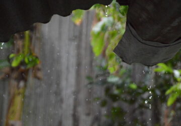 Exploring Rainwater Collection Solutions