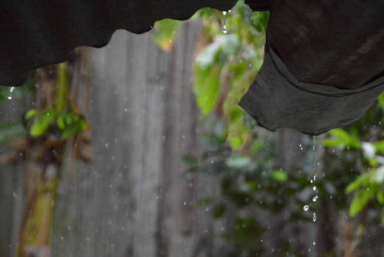 Exploring Rainwater Collection Solutions