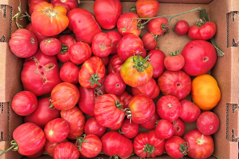 The Return of Heirloom Varieties