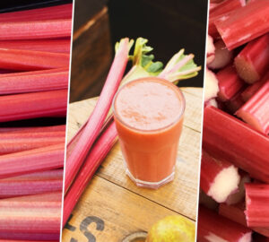 Rhubarb in the Garden