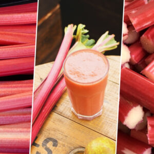 Rhubarb in the Garden