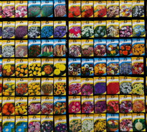 Seeds – Why a Winter Check Matters