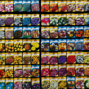 Seeds – Why a Winter Check Matters