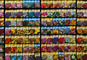 Seeds – Why a Winter Check Matters