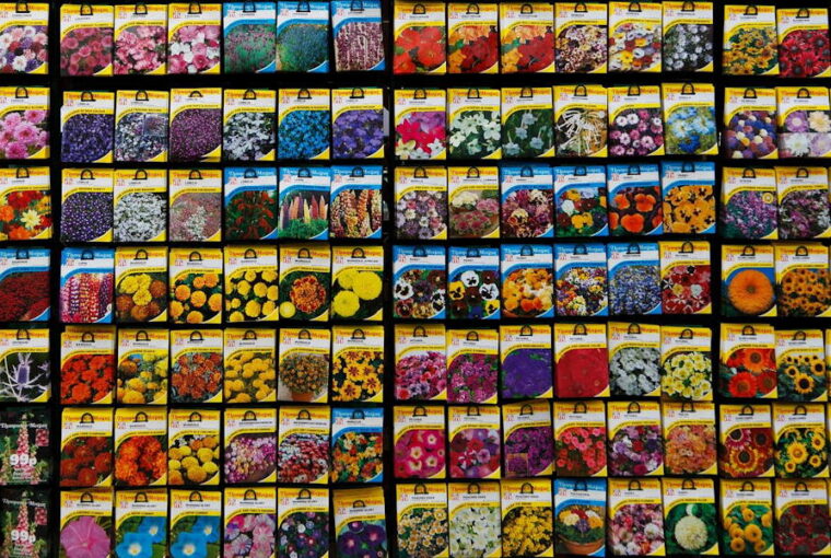 Seeds – Why a Winter Check Matters