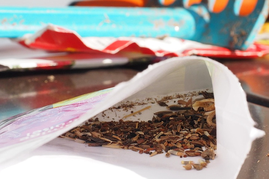 Seeds – Why a Winter Check Matters