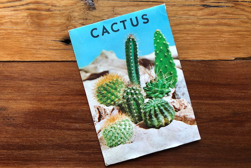 Seeds – Why a Winter Check Matters