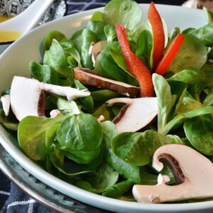 Vegetables to Plant in September