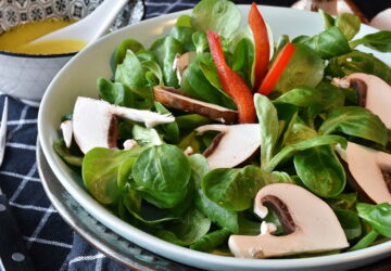 Vegetables to Plant in September