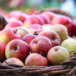 September Gardening Tips