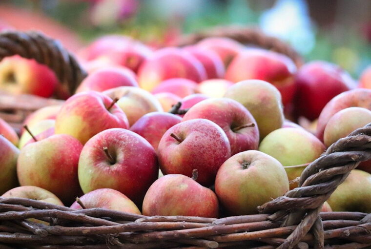 September Gardening Tips