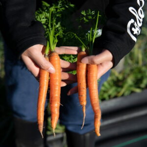 Three Vegetables Worth Your Space