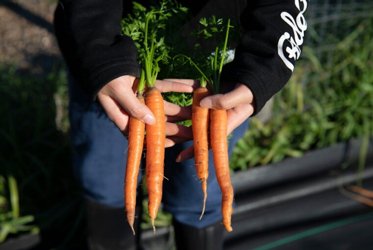 Three Vegetables Worth Your Space