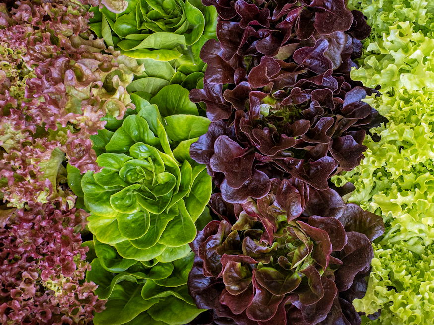 Three Vegetables Worth Your Space