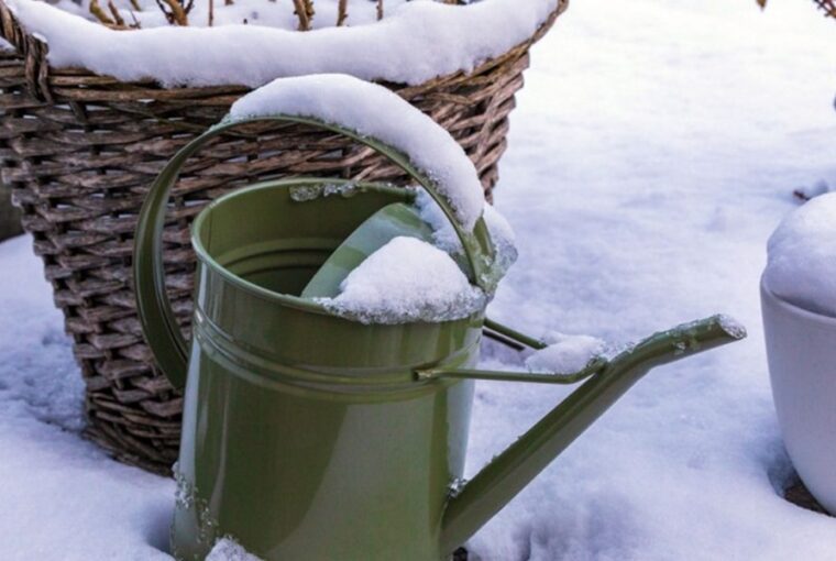 Winter Garden Care: A December Checklist