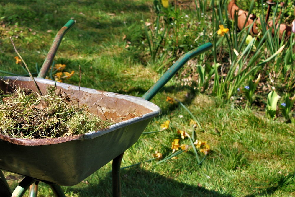 Springing Into Action: Essential Gardening Tasks for a Vibrant Garden ...