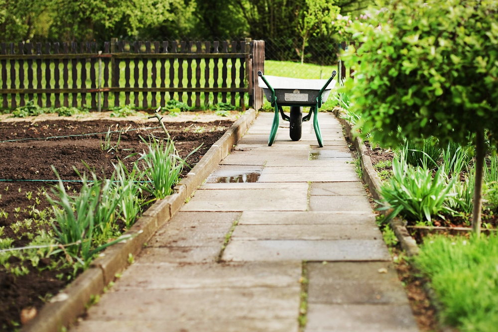 Essential Gardening Tasks for a Vibrant Garden