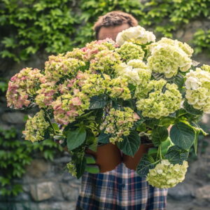 Starting Your Garden Right: Top 7 Mistakes