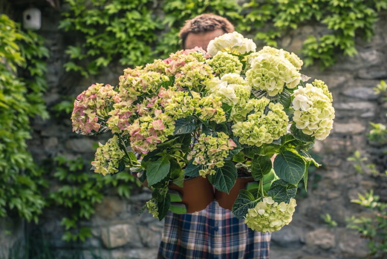 Starting Your Garden Right: Top 7 Mistakes