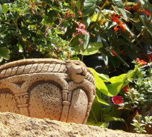 Summer Guide: Keep Your Potted Plants Healthy
