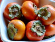 A Guide to Harvesting and Enjoying Persimmons