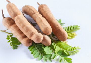 Tamarind: Nature's Sweet and Tangy Treasure