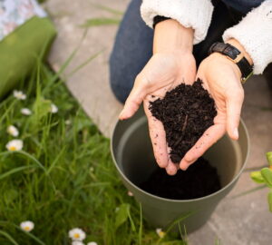 This Year Will Be Different