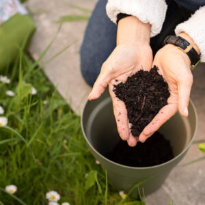 This Year Will Be Different