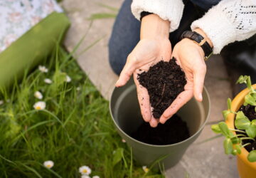 This Year Will Be Different