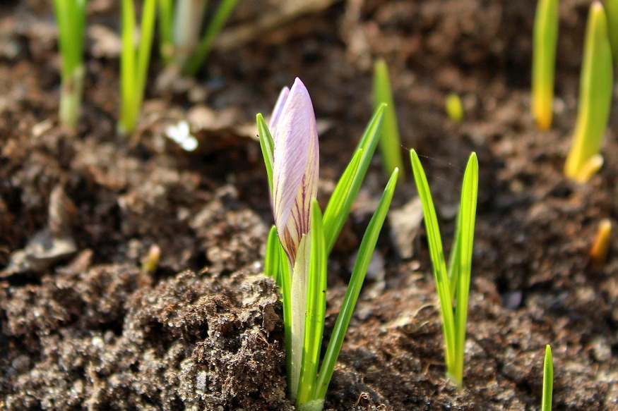 This Year Will Be Different