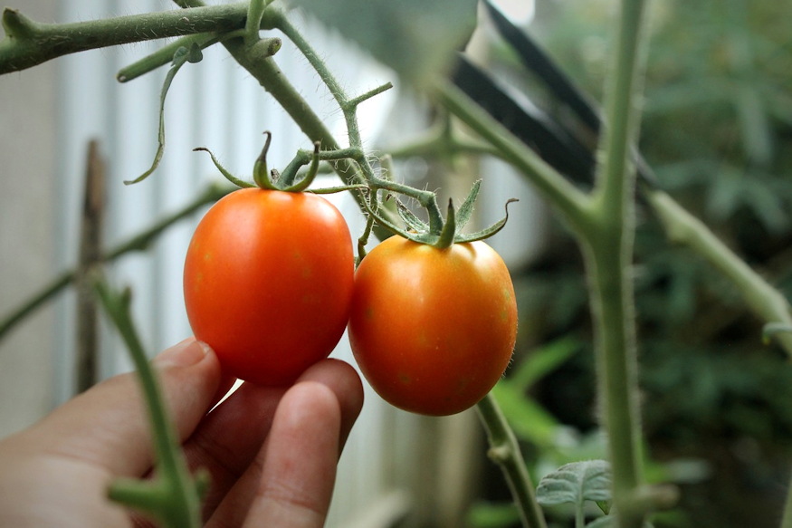 This Year Will Be Different