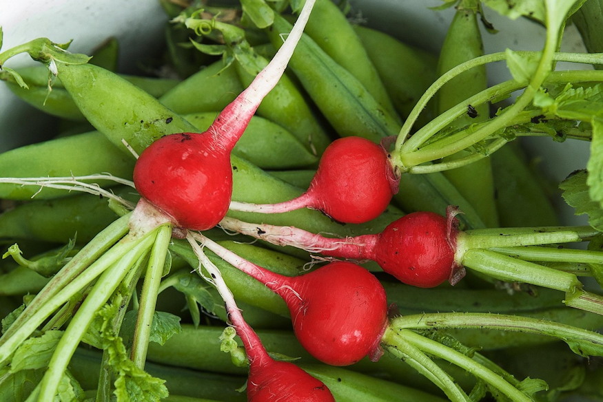 This Year Will Be Different