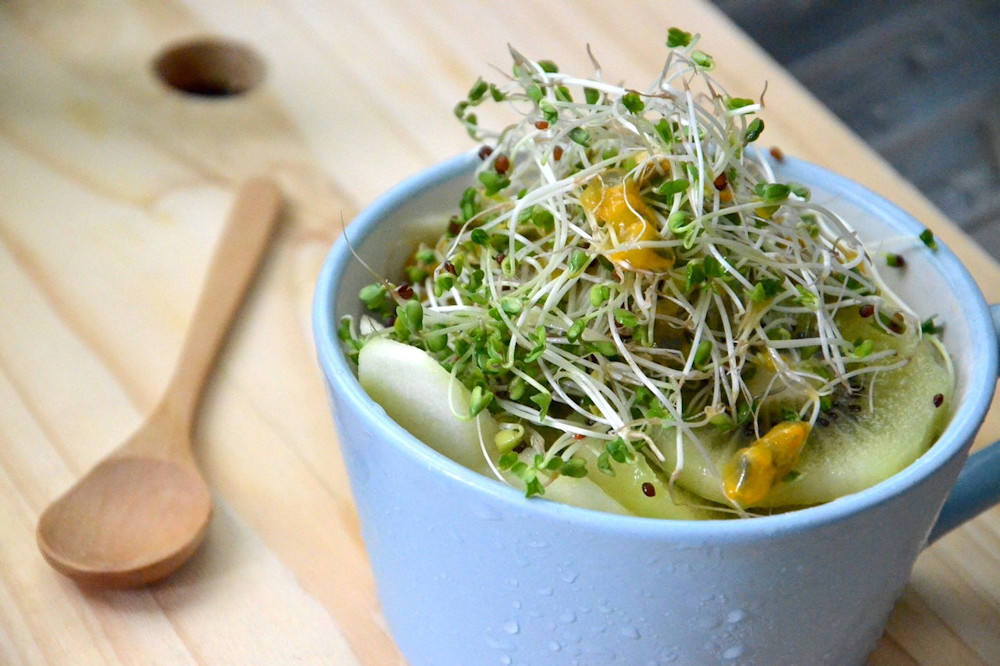 Exploring the Winter Wonders of Sprouts and Microgreens