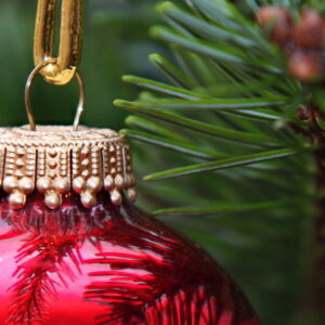 Fab Four Christmas Trees and a Surprise Pick