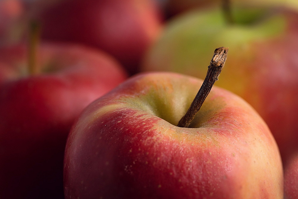 The Ultimate Guide to Apple Season