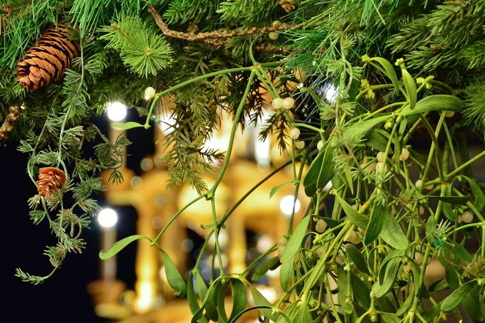 Under the Mistletoe Magic