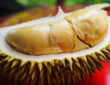 Exploring Durian and its Infamous Odor