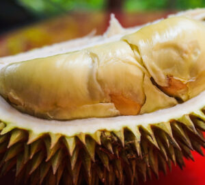 Exploring Durian and its Infamous Odor